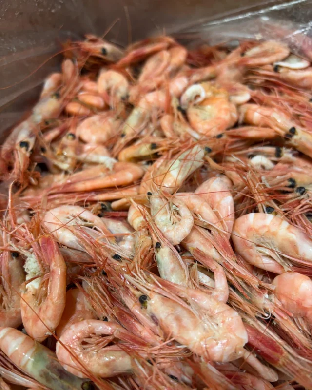 Amateurs de crustacés? 
Les crevettes de Matane s’ajoutent à notre menu!

🦐🦐

Savourez-les au Bistro avec ces deux nouveaux plats.

. Œuf Mimosa avec crevettes de Matane fraîches, caviar de Mujjol & jaune d’œuf déshydraté. 
. Cavatelli aux crevettes nordiques avec beurre blanc, bisque de homard & petits pois. 

Nous décortiquons soigneusement chacune des crevettes que nous vous servons. Selon nous, c’est ça l’amour!